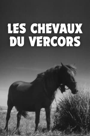 Image Les Chevaux du Vercors