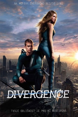 Poster Divergence 2014