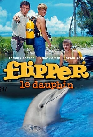 Poster Flipper le dauphin Saison 3 Dauphin perdu 1966