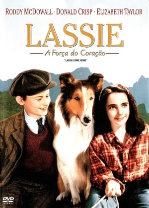 Image Lassie, a Força do Coração