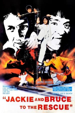 Poster 쌍배 1982