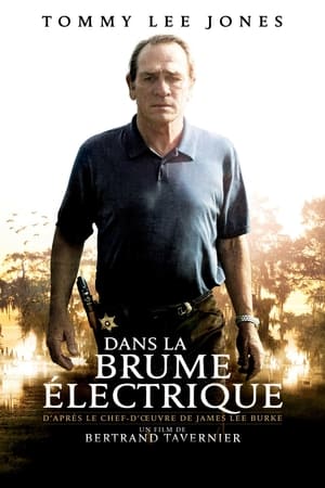 Poster Dans la brume électrique 2009