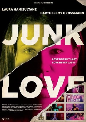 Poster Junk Love 2019