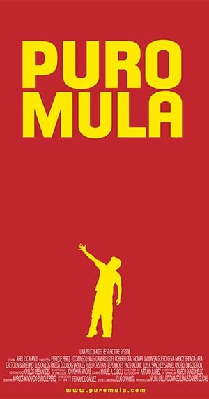 Poster Puro Mula 2011