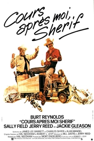 Poster Cours après moi shérif 1977