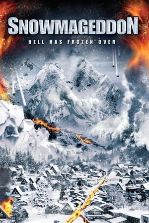 Poster Snowmageddon 2011