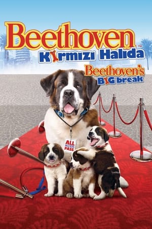 Poster Beethoven: Kırmızı Halıda 2008