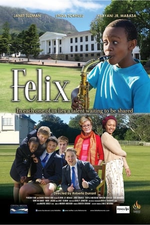 Poster Felix 2013
