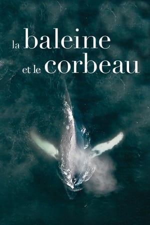 Poster The Whale and the Raven 2019