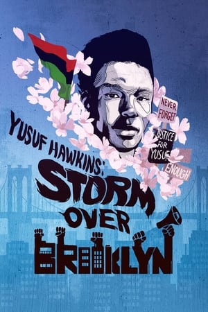 Poster 布鲁克林风暴 2020