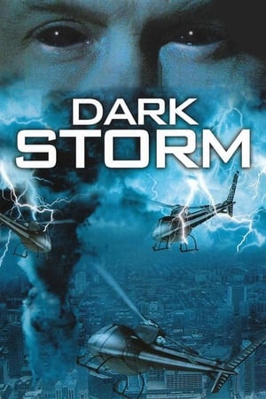 Poster Черная буря 2006