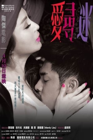 Poster 爱寻迷 2014