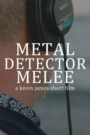 Image Metal Detector Melee