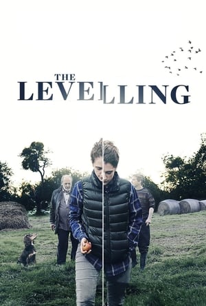 Poster The Levelling 2017