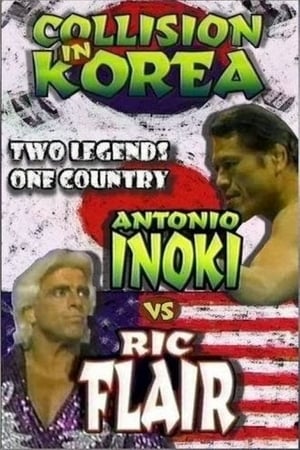 Poster NJPW & WCW Collision In Korea 1995