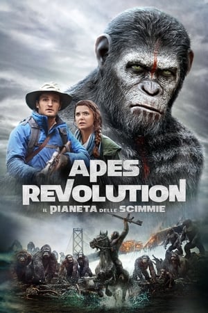 Image Apes Revolution - Il pianeta delle scimmie