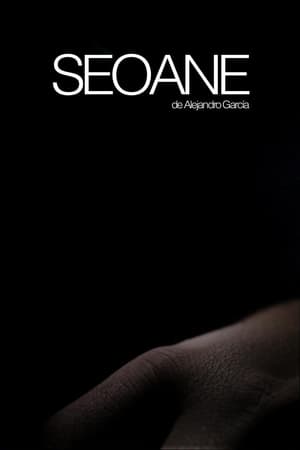 Poster Seoane 2017