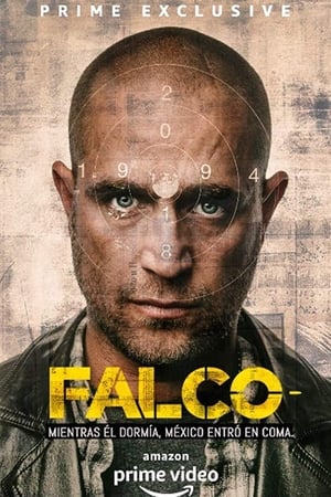 Poster Falco 2018