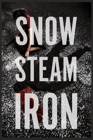 Poster Snow Steam Iron 2017