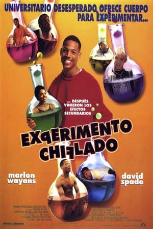 Poster Experimento chiflado 1998