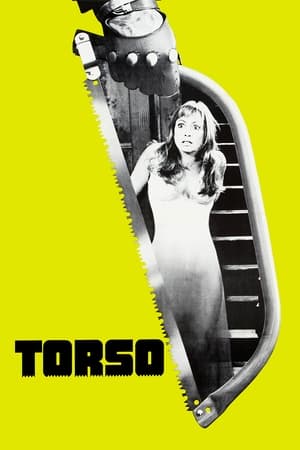 Poster Torso 1973