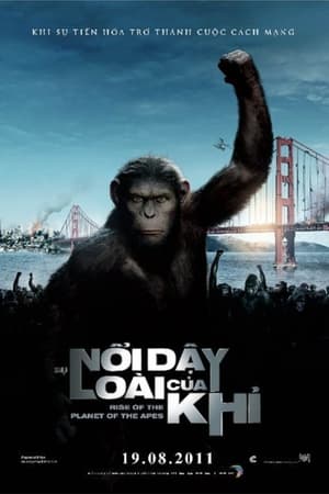 Poster Sự Nổi Dậy Của Hành Tinh Khỉ 2011