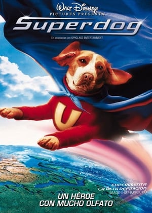 Poster Superdog 2007