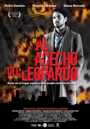 Poster Al acecho del leopardo 2011