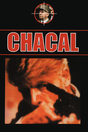Image Chacal