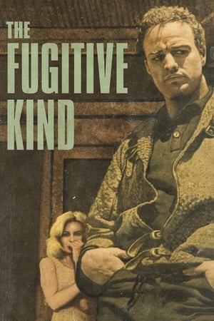 Poster The Fugitive Kind 1960