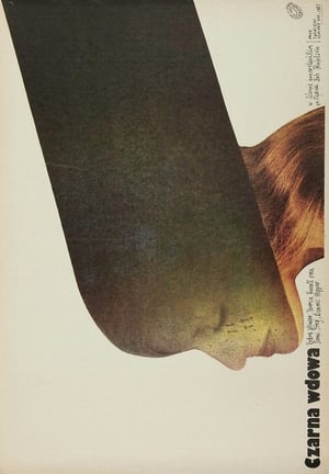 Poster Czarna wdowa 1987