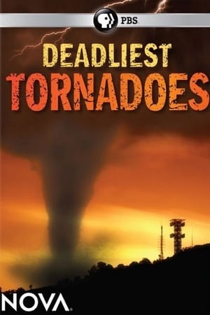 Image Deadliest Tornadoes