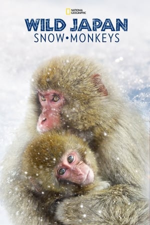 Poster Wild Japan: Snow Monkeys 2014