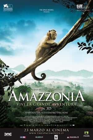 Poster Amazzonia 2013