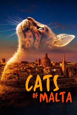 Poster Cats of Malta 2022