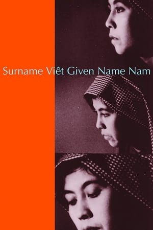 Image Surname Viêt Given Name Nam