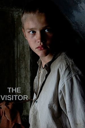 Poster The Visitor 2008