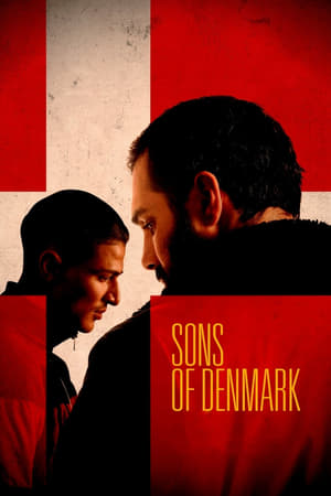 Poster Sons of Denmark 2019