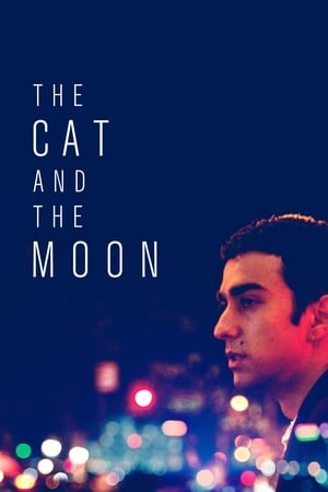 Poster The Cat and the Moon 2019