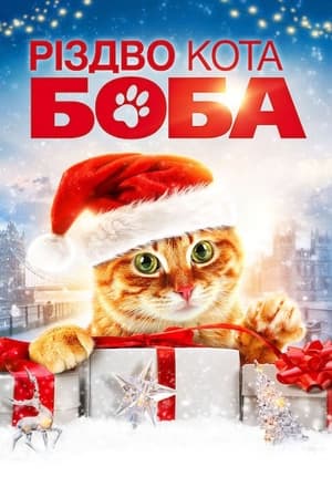 Poster Різдво кота Боба 2020