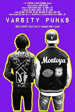 Poster Varsity Punks 2017