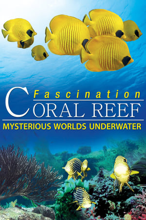 Poster Fascination Coral Reef: Mysterious Worlds Underwater 2012