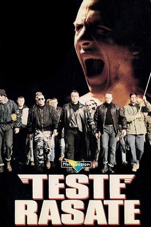 Poster Teste rasate 1993