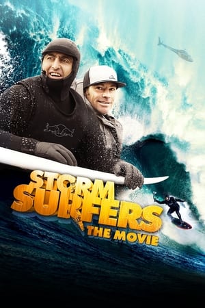 Poster Storm Surfers 3D 2012