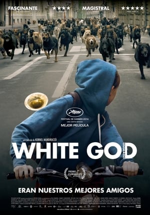 Poster Dios blanco 2014