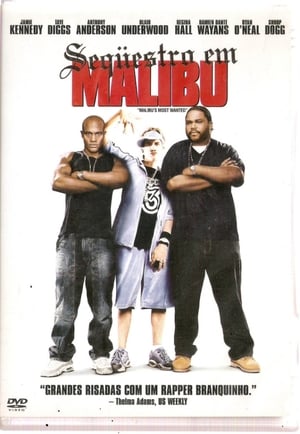 Poster Sequestro em Malibu 2003