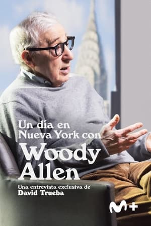 Image Un día en Nueva York con Woody Allen