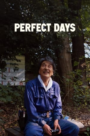 Poster Perfect Days 2023