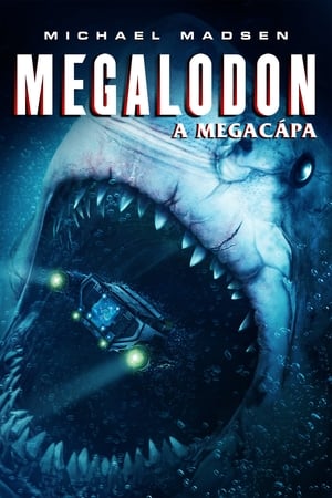 Poster Megalodon - A megacápa 2018