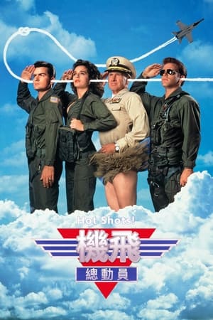 Poster 反斗神鹰 1991